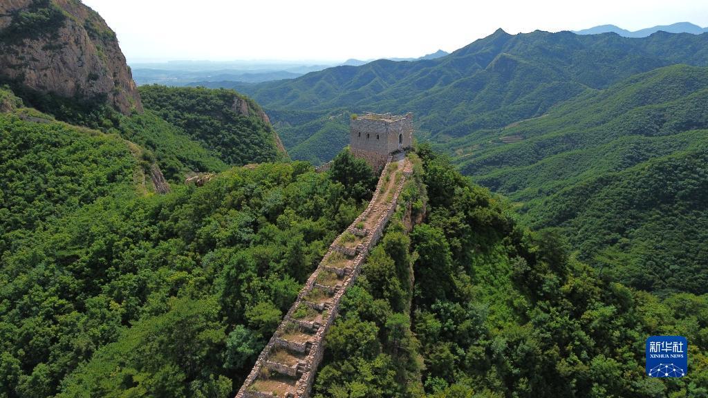 免费炸三张金花游戏下载娱乐版